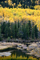 Colorado Fall Color Showcase