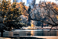 City Park, in Late Fall
