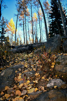 Hells Hole Trail, in Peak Fall Color
