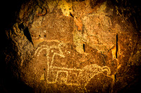 Three Rivers Petroglyph Site: NM