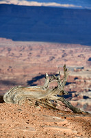 Southern Utah Panoramas